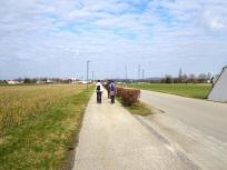 Blick auf die Wanderstrecke Richtung Korneuburg 