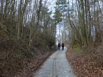  Wanderroute zur Elisabeth-Hhe auf dem Bisamberg 