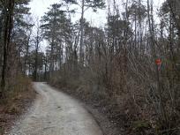 Wanderroute zur Elisabeth- Hhe auf dem Bisamberg 