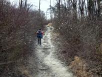  Wanderroute zur Elisabeth- Hhe auf dem Bisamberg 