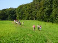  Blick auf die Wanderstrecke 
