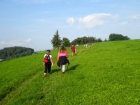  Blick auf die Wanderstrecke 