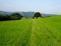 Blick auf die Wanderstrecke 