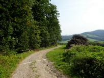  Blick auf die Wanderstrecke 