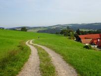 Blick auf die Wanderstrecke beim Gehft Unterhegerberger