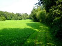 Blick auf die Wanderstrecke entlang des Stssingbach