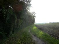  Blick auf die Wanderstrecke beim Marienhof