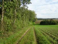  Blick auf die Wanderstrecke 