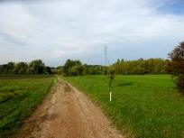  Blick auf die Wanderstrecke 