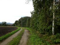  Blick auf die Wanderstrecke 