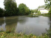 Blick zum "Dorfteich" 