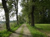  Wanderroute ber die Lindenallee 