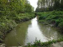  Blick auf den "Stockerauer Arm" 