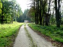  Blick auf die Wanderstrecke 