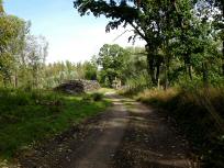  Blick auf die Wanderstrecke 