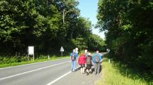  Wanderroute entlang der Horner Straße 