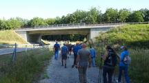 Blick auf die Wanderstrecke bei der Unterführung der Horner Bundestraße (B4) 
