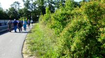 Blick auf die Wanderstrecke bei der Überquerung der Horner Bundestraße (B4) 