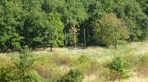 Fernblick zu einen großen Holzkreuz am Waldesrand 