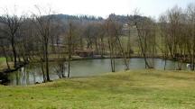 Blick zu einen Weiher am Ortsende von Senftenegg 