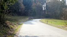  Blick auf die Wanderstrecke Richtung Wang 