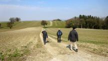  Wanderroute nach Windischendorf 