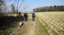  Wanderroute nach Windischendorf 