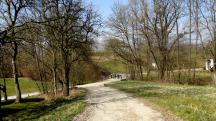  Blick auf die Wanderstrecke bei Windischendorf 