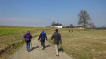 Blick auf die Wanderstrecke bei Innerochsenbach 