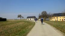 Blick auf die Wanderstrecke bei Innerochsenbach 