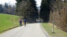  Wanderroute auf der L6154 nach Ferschnitz 