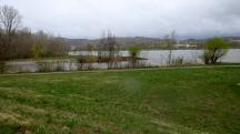  Blick zur Mndung der Fladnitz in die Donau 