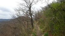 Blick auf die Wanderstrecke zur St. Georg auf dem Predigtstuhl