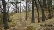 Blick auf die Wanderstrecke zur St. Georg auf dem Predigtstuhl