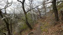 Wanderroute auf dem Welterbesteig nach Steinaweg