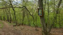 Wanderroute auf dem Welterbesteig nach Steinaweg