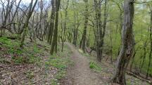 Wanderroute auf dem Welterbesteig nach Steinaweg
