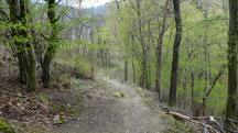 Wanderroute auf dem Welterbesteig nach Steinaweg