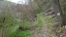 Wanderroute auf dem Welterbesteig entlang der Fladnitz nach Steinaweg