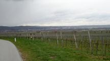  Fernblick nach Krems/Donau 