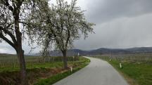  Wanderroute auf der L7104 
