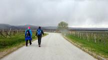  Wanderroute auf der L7104 