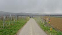  Wanderroute auf den Zellergraben Weg 