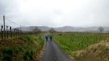  Wanderroute auf den Zellergraben Weg 