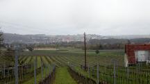  schner Fernblick nach Krems/Donau 