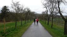  Wanderroute ber den Schanzweg 