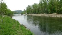  Blick zum Ybbsfluss  
