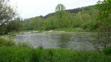 Blick zur Ybbs 