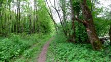  Wanderroute entlang der Ybbs 