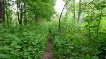  Wanderroute entlang der Ybbs 